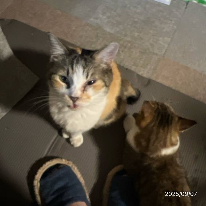 8cd60c8b 8f43 45cd 9d84 2c4ca3962584 1757233530904