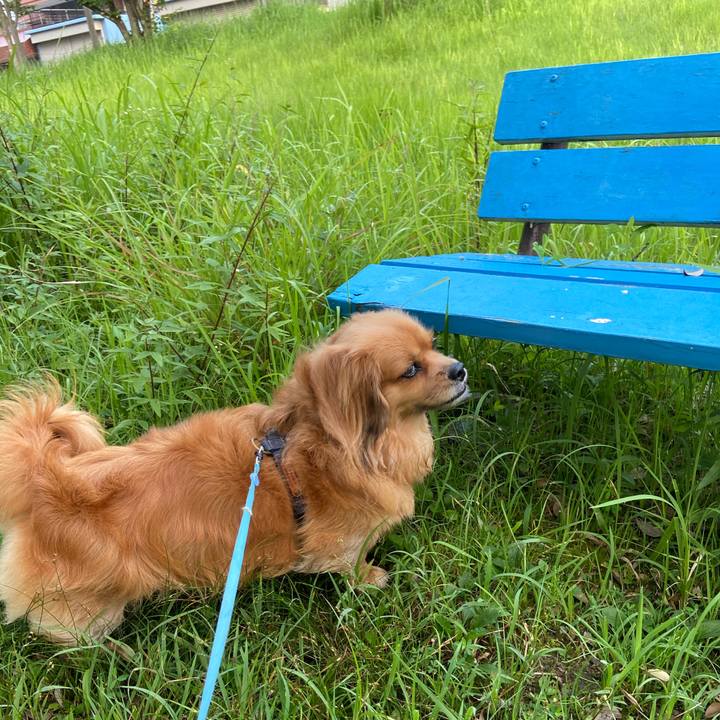 8cd64606 d095 4ff8 a7f7 2e90e6fb3e4e 1596665239944