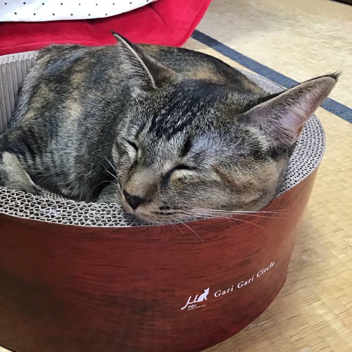 8cd665e9 082f 4a3a b3db 31375803a120 1599533816593