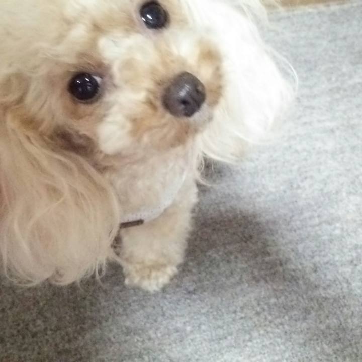 8cd66f1a 85ae 4271 93d4 13e387e021d5 1532950934415