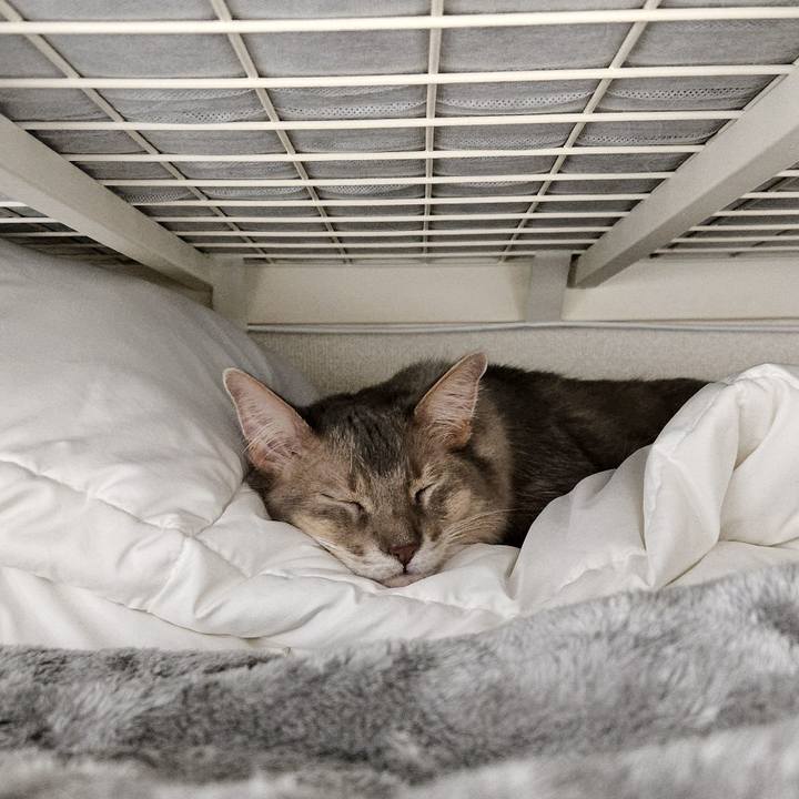 8cd66f97 7bcc 45fd a9cc 41c2a85a2c6c 1735615130423