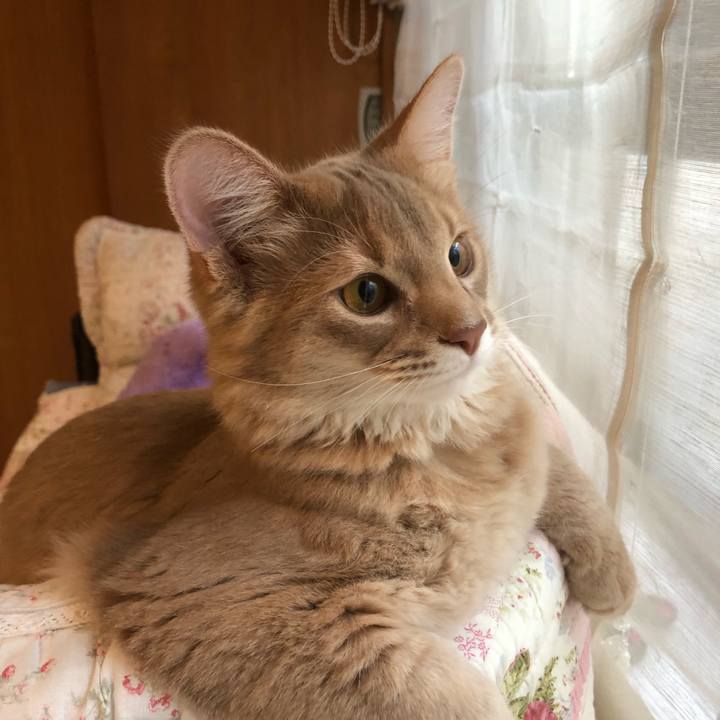 8cd6787b e6c8 4d7f 9200 1de5fd8d7118 1551919282178