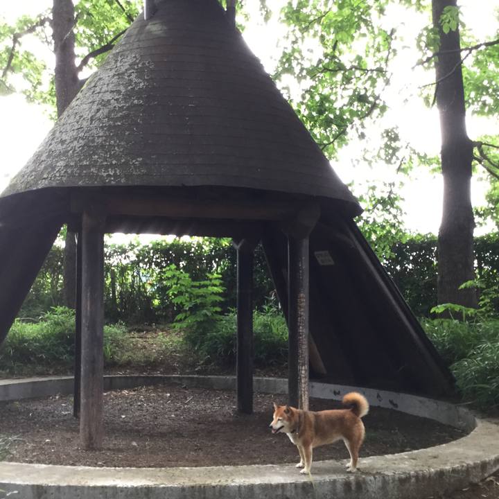 8cd6c5bc 4725 4bb6 b7d1 87916420a74d 1592460755115