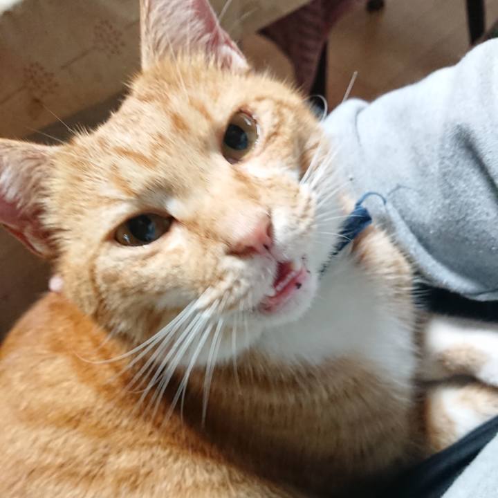 8cd701a8 e5fb 4456 ae76 b328299ec3e1 1602366408780