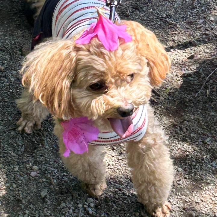 8cd7054d caab 42fe 83fb ed8d00394136 1745833024111