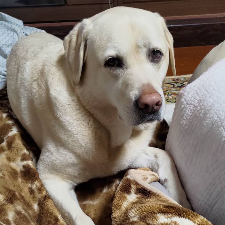 8cd712c4 fd20 42ce 8067 85d534165945 1682820140420