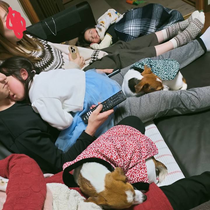 8cd720e0 33a8 4e08 87d0 1db395c80bb2 1767513032471