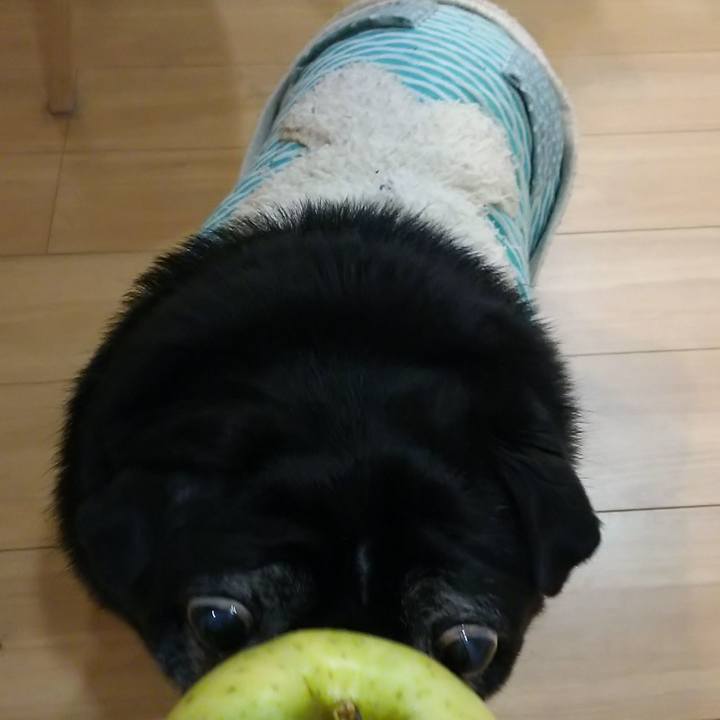 8cd76432 d953 4873 87d7 ec515caea613 1574568850815