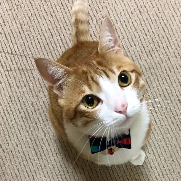 8cd7728f 8d64 4d5b bdc6 51dce7212099 1514712350911