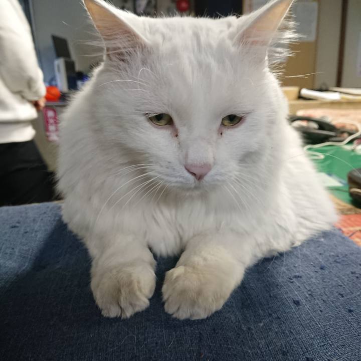 8cd7a586 dbc2 4905 9002 41c861caab56 1572647720347