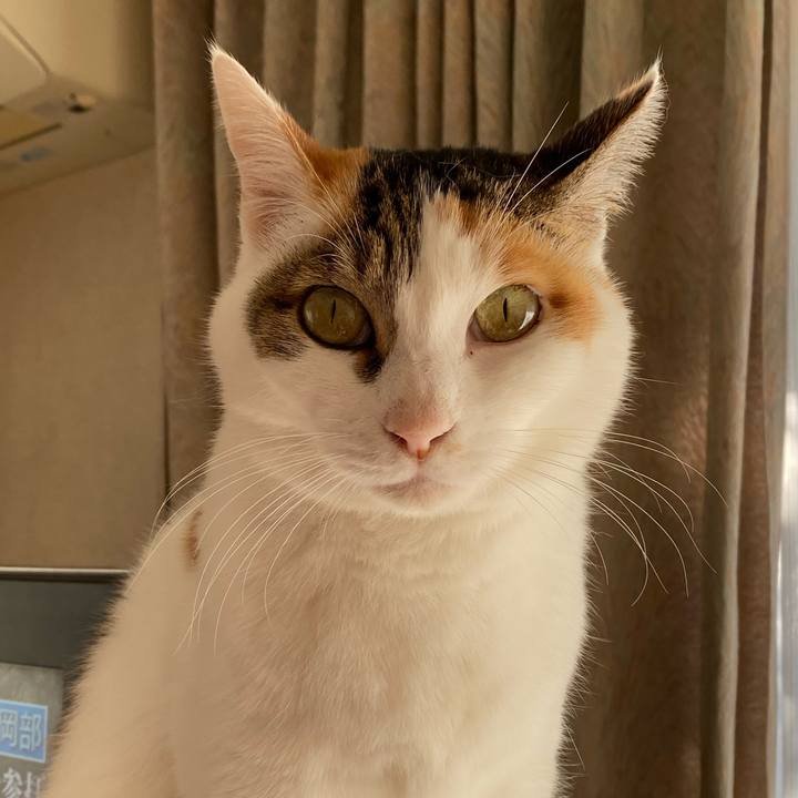 8cd8025f 5736 4b41 adeb 69d44e6a1be5 1766895347910