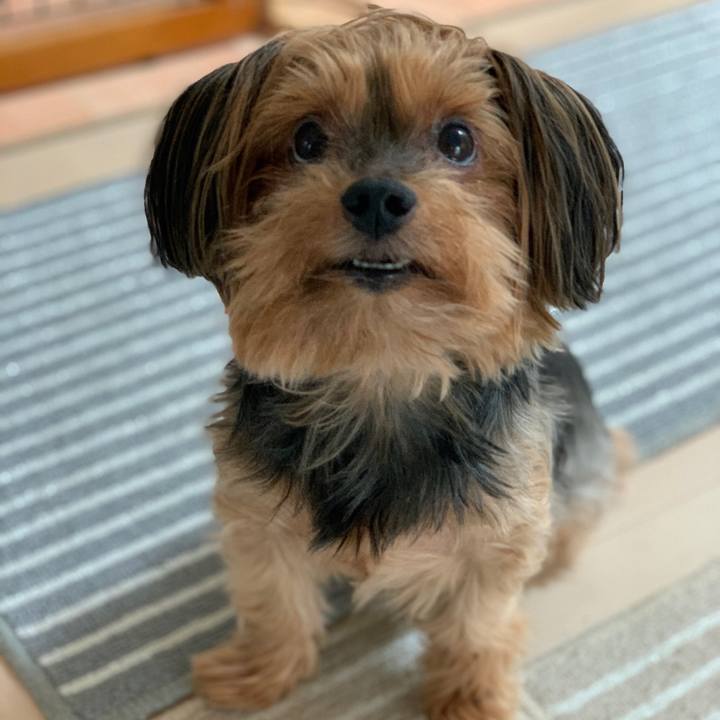 8cd8033d be36 4370 adb1 8fe71e800a23 1596149494350