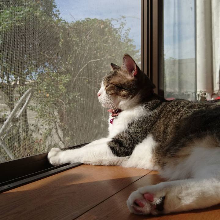 8cd80c5e 711d 4cc1 8817 b0557ebc0dc5 1537142930363