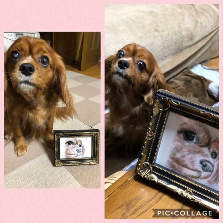 8cd86a0f 23f9 4c52 bb52 9ab7287016b5 1581544530624