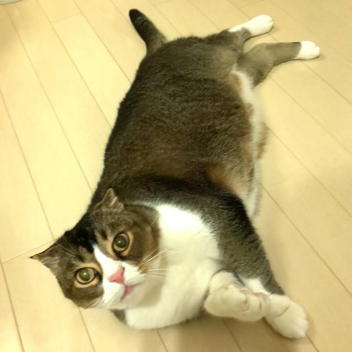 8cd86df2 ac13 4f17 a8d0 3dbb8741a78a 1651410272971