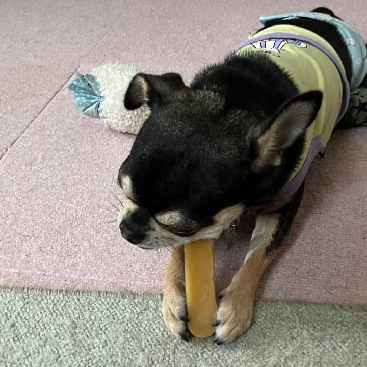 8cd8994c b456 4762 bb6f 9ffa91351386 1759639506619