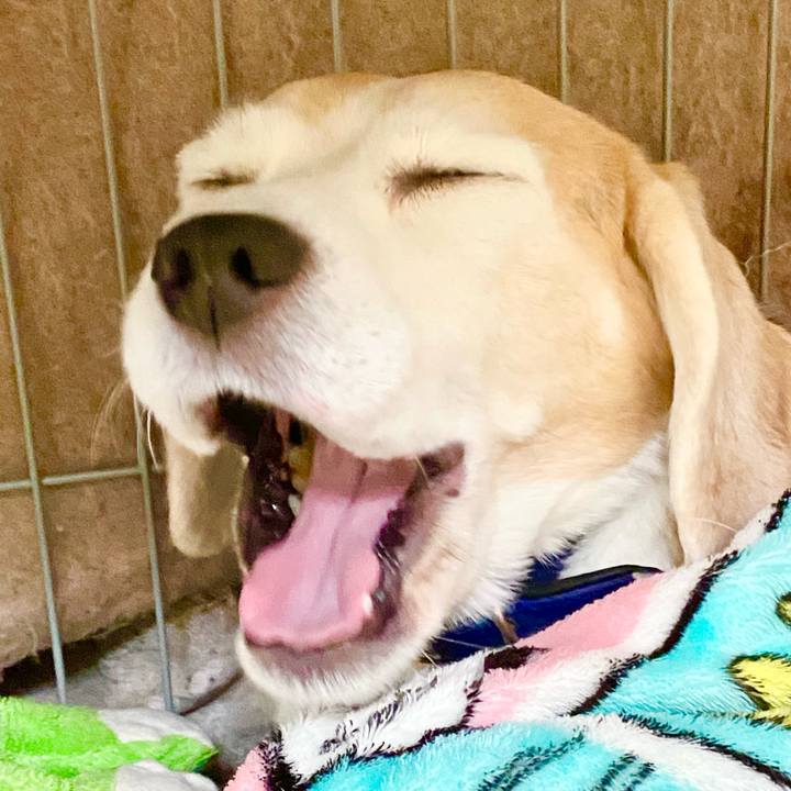 8cd89b63 05fe 4c99 997c 66b8af038773 1771569128912