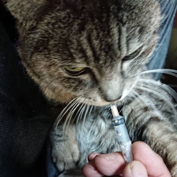 8cd89e53 d994 408a 946d b94eaaf3f938 1580938818782