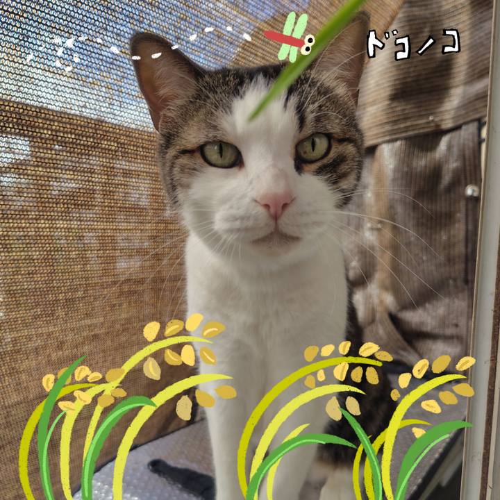 8cd89f22 0b00 4981 8a48 2838341bd6b3 1763266798788