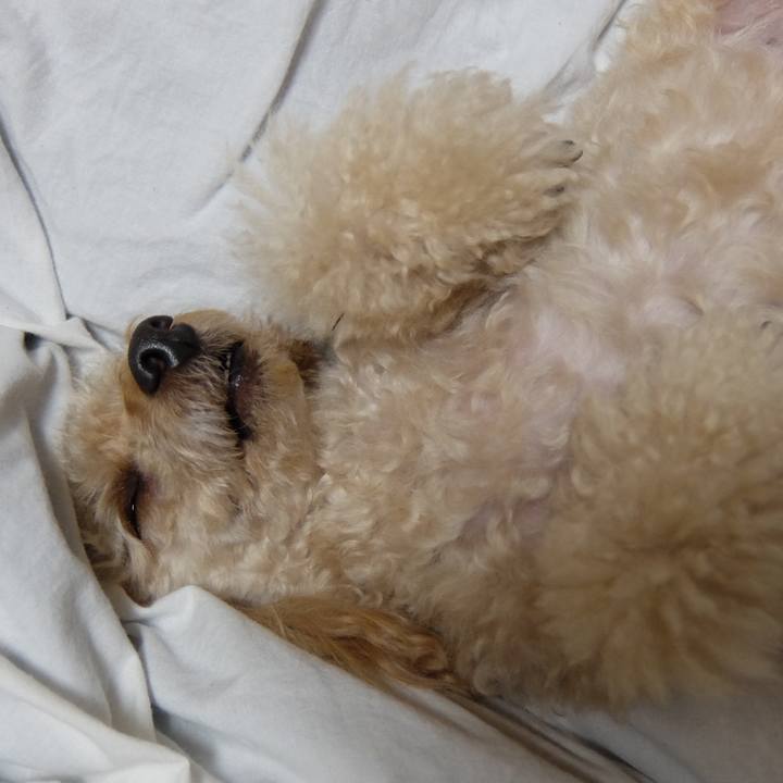 8cd8e55c b0c5 4048 8ef6 2633c83dbe84 1638598812806