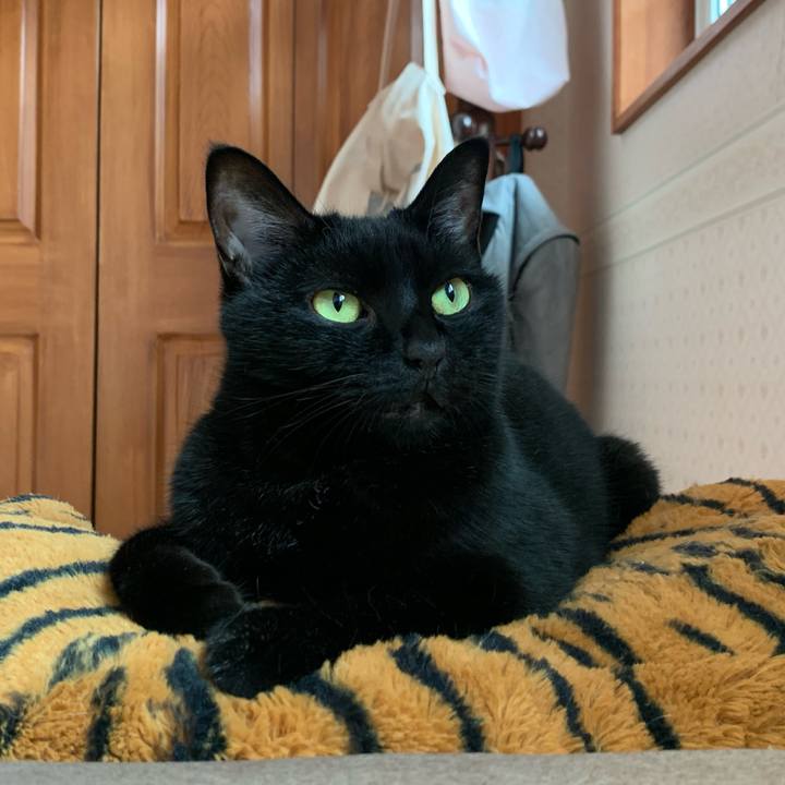 8cd8ef19 c1d9 451d a3fa c6945df72b18 1627076114482