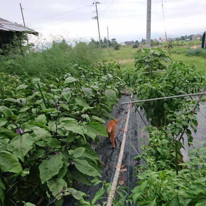 8cd8f43c d505 4d06 bda9 99393706ea22 1597658403466