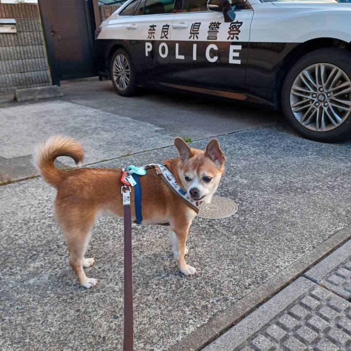 8cd94139 3f8d 4d29 baa6 6d5a1896fa27 1756677406677