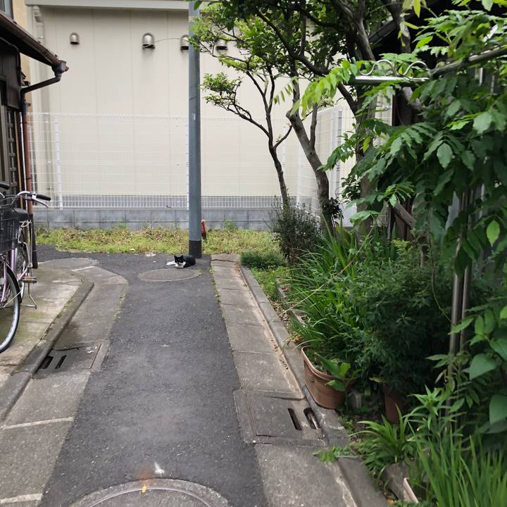 8cd9450a 20fb 4148 9cb0 90a5c5b5ab85 1526652133922