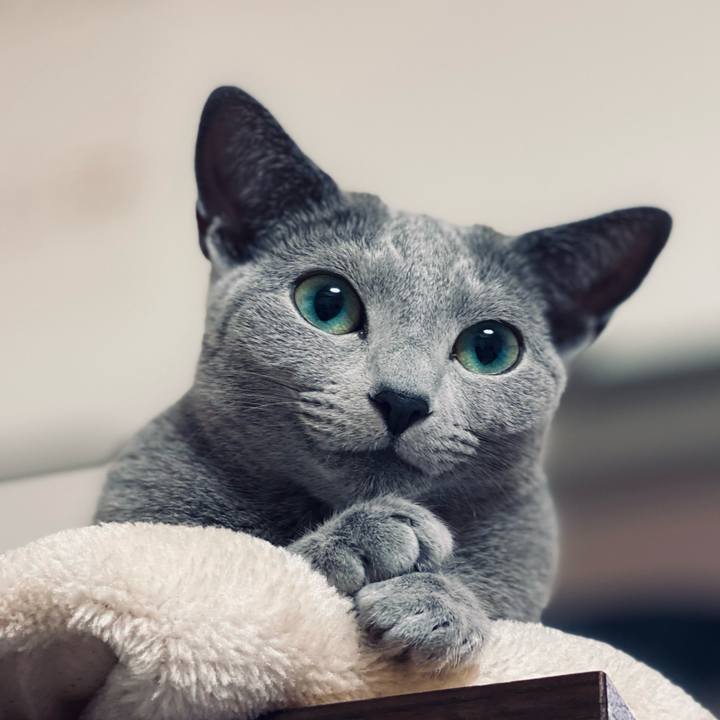 8cd94a6c 5b53 4dee b7f6 59f2035dda75 1620302894833