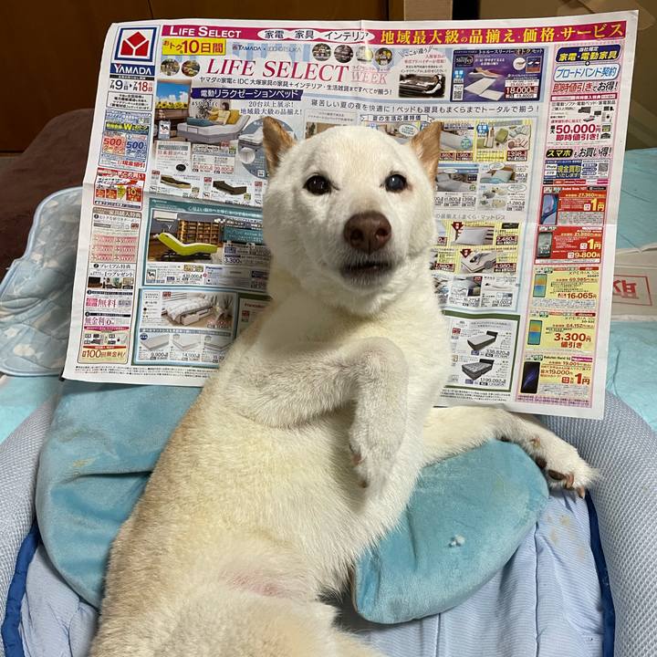 8cd98e8f d1a6 4f4b a3f3 904e2180f115 1657629091731