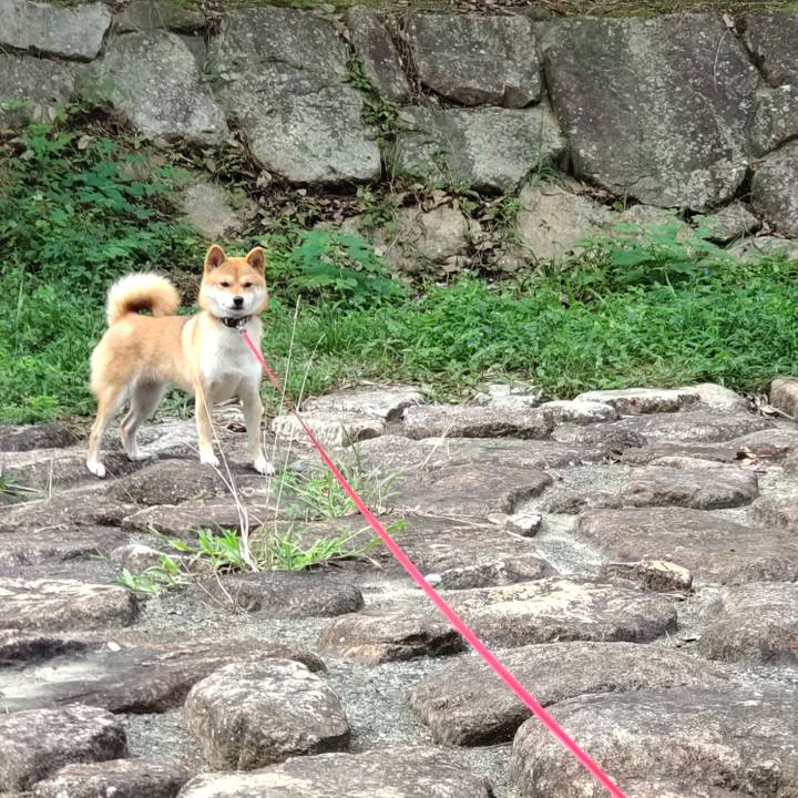 8cd9a2be 18e5 4875 8936 6a174ec45533 1660966033366