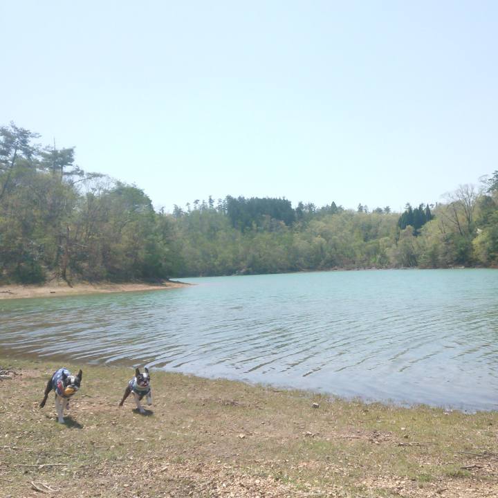 8cd9c9c7 432b 4a8d a576 21e2aecd6e95 1524217768560