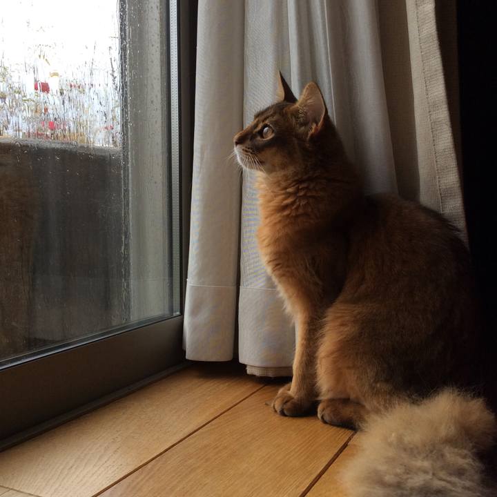 8cd9e3a9 a5d8 448a bf56 32fa30f4e288 1585276364304