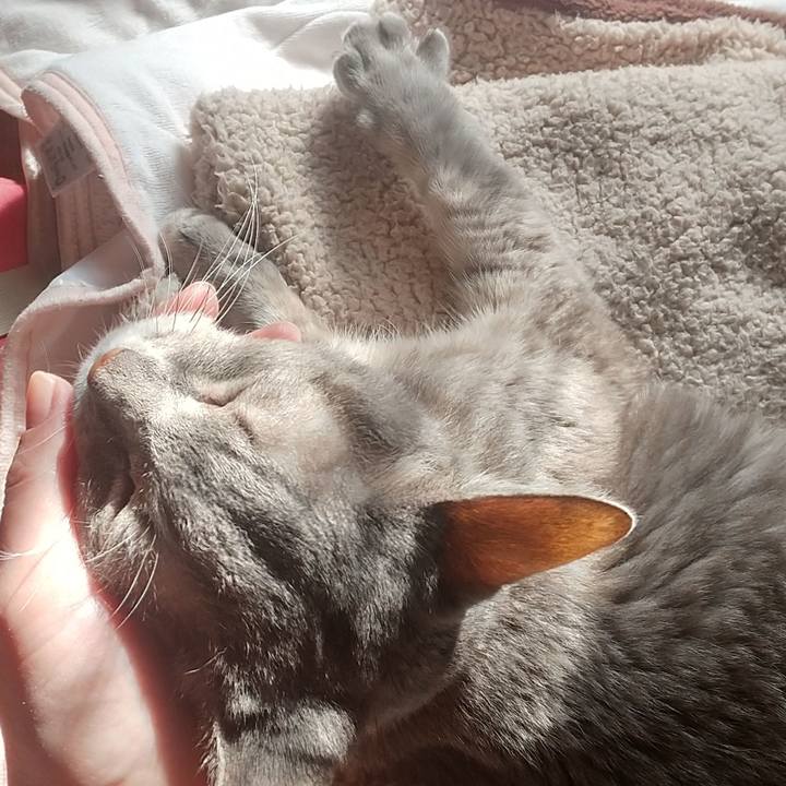 8cda1600 f4ee 48d8 b224 10ff4ec09b9e 1730120151966