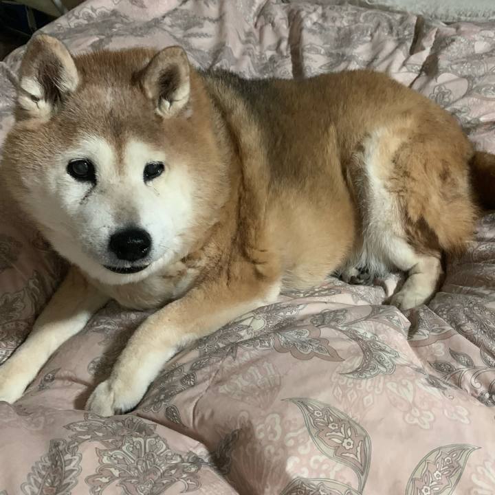 8cda4cb7 9f90 411f 9bf1 e2009fe15b9f 1644662695690