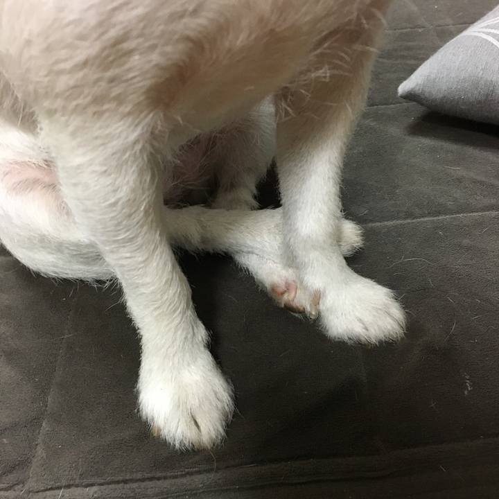 8cda5a59 ec82 49ed b24d e407105ecbd0 1634599912655