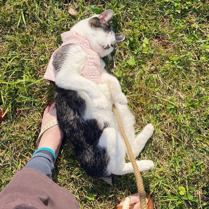 8cda6e7e f7e1 4615 9d57 ee2118567ca0 1606364595489