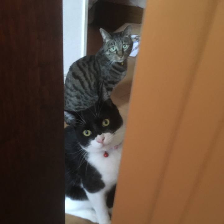 8cdaa355 a2c8 4625 81b9 a8c21934b3cd 1555940054407