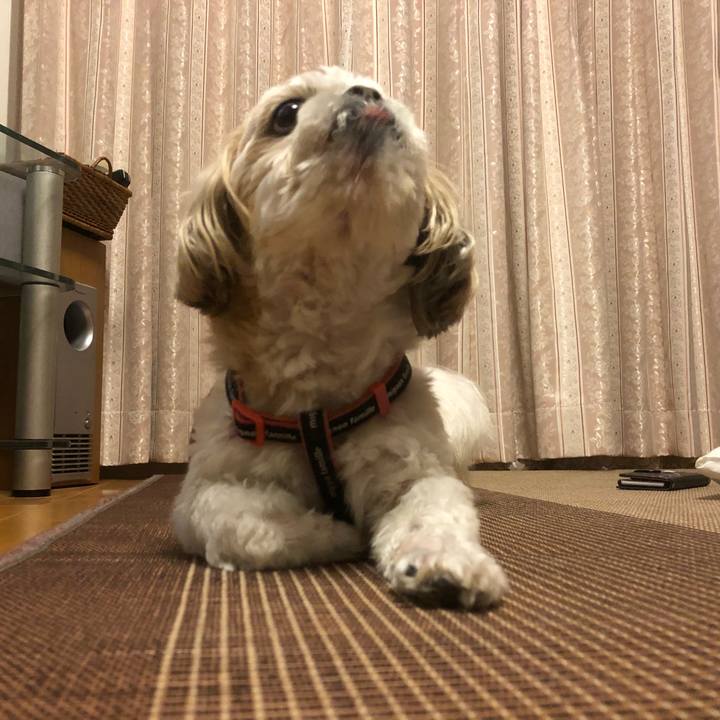 8cdaa928 2bd3 4499 9878 e63990e0d515 1624830436456