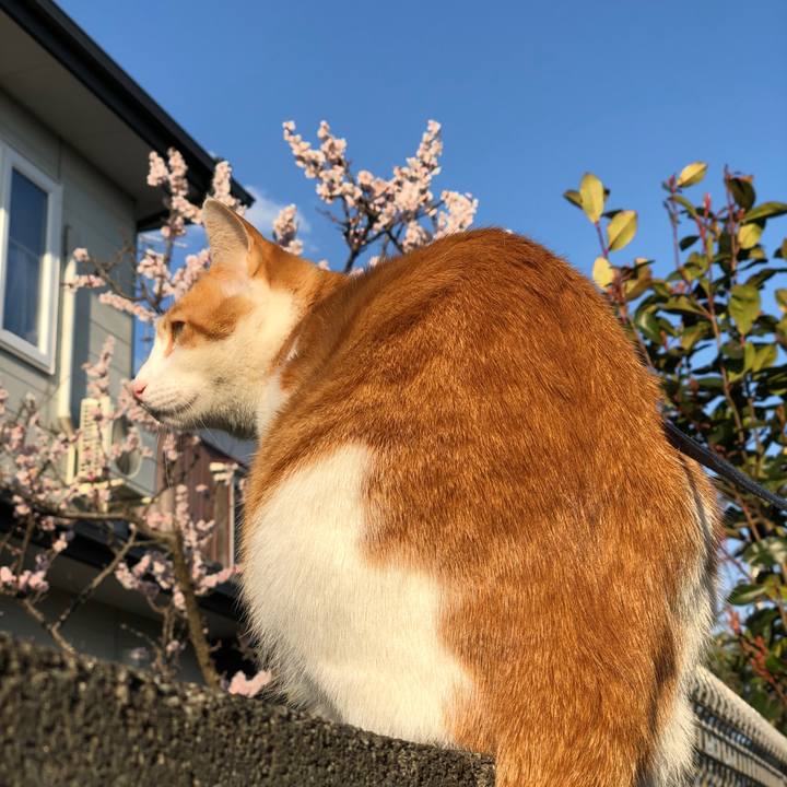 8cdb06c2 a850 46aa 91a5 9a3af0bf4236 1554596431023