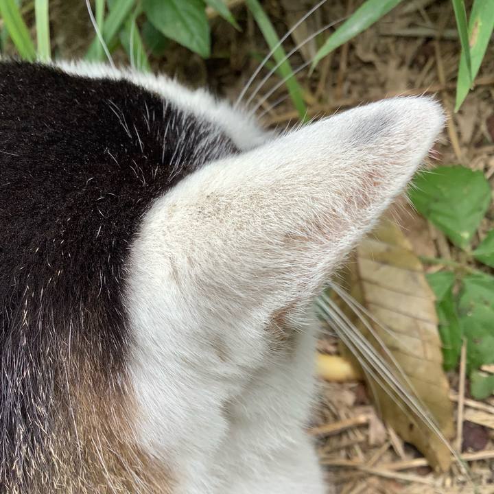 8cdb2170 079a 46da b0f8 130837928d93 1602071495866