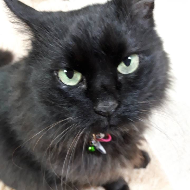 8cdb5b9d 8936 41be 8431 d46372d41b29 1521972839107