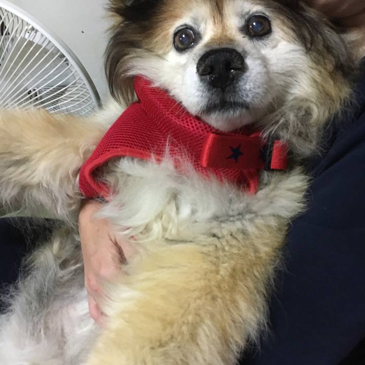 8cdb990f b355 43ee 91c7 275935599bd5 1556539116632