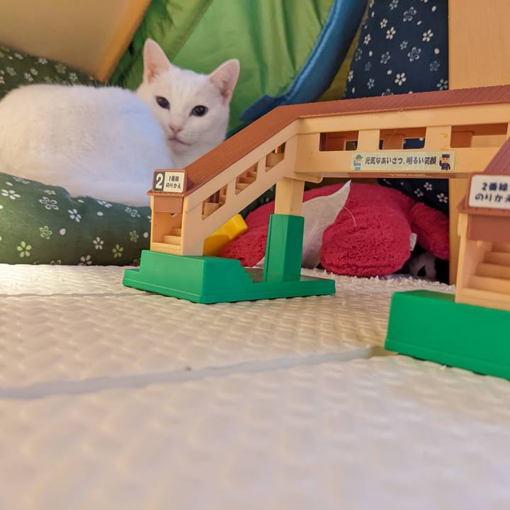 8cdba043 cea9 42c7 89cf 4cbf9899f7e6 1641875041879