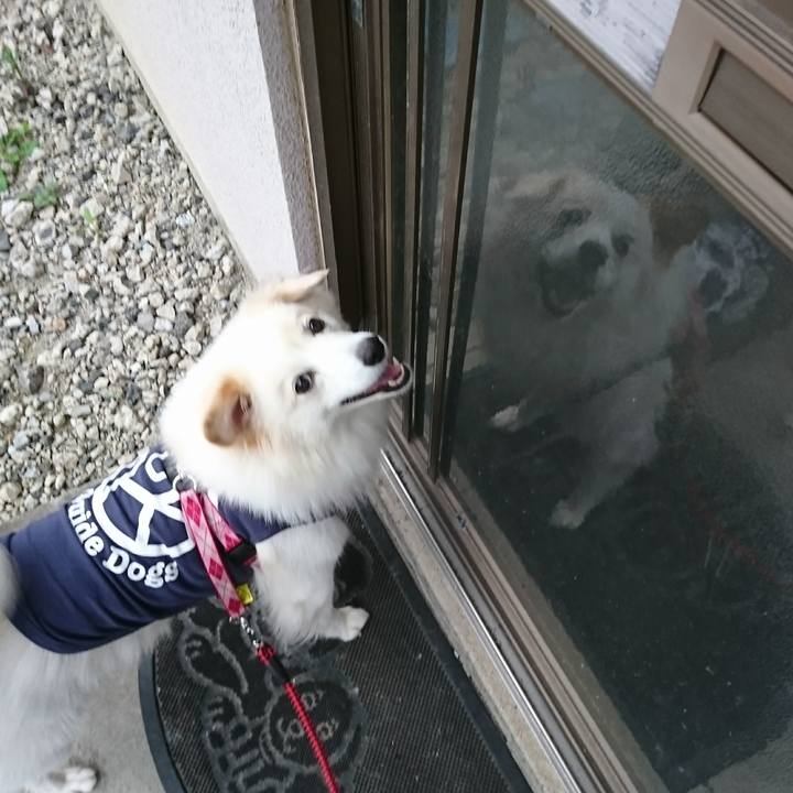 8cdbe0a0 f89c 406c 9f7d 3f336f50e26f 1508104065773