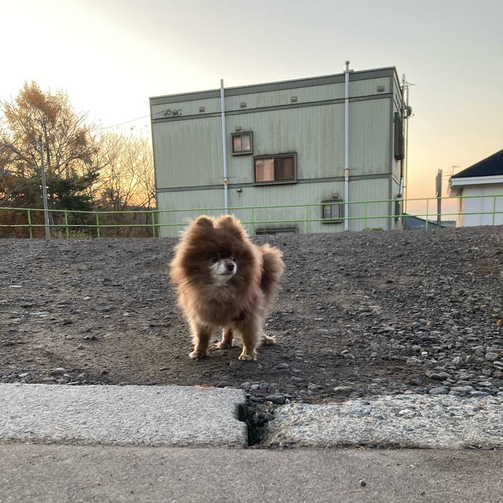 8cdbf192 d3e1 4f49 ad06 27319cc7bea7 1731740008621