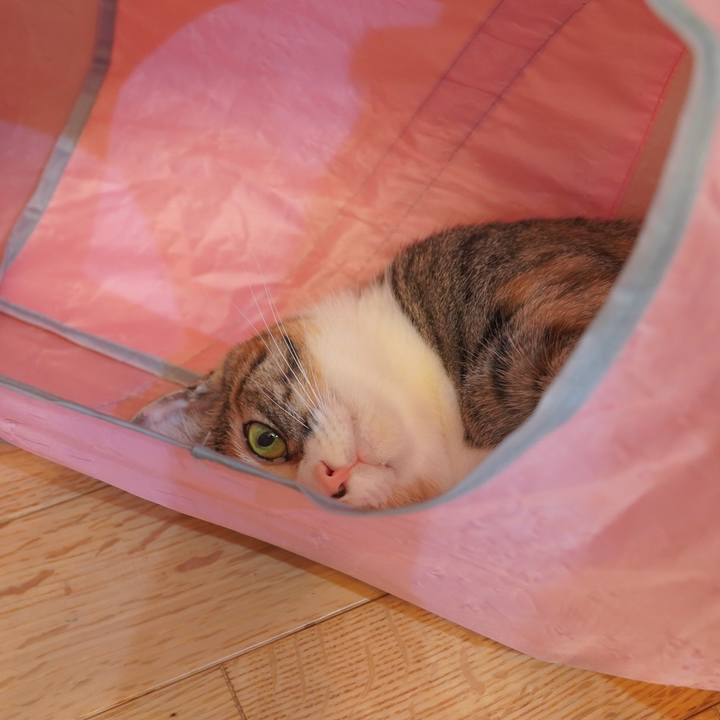 8cdbf543 d05b 4279 87d3 500f40017522 1601603850596