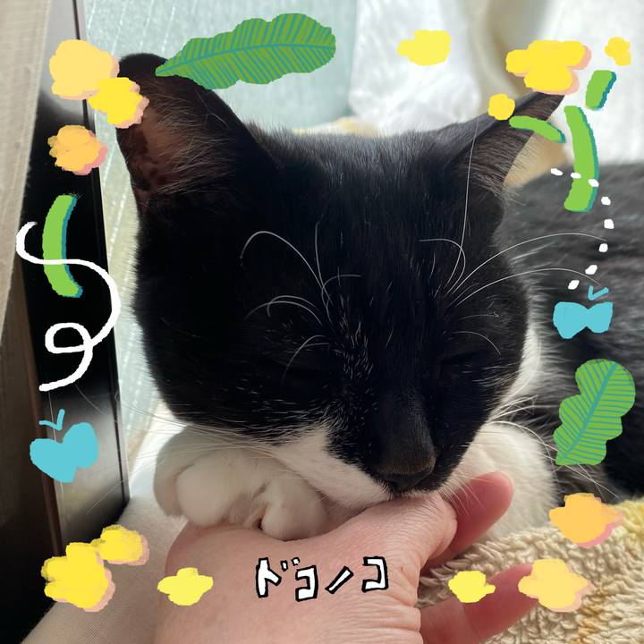 8cdc08a8 091a 4bb3 af3f 1a3da3d9189a 1744611478429