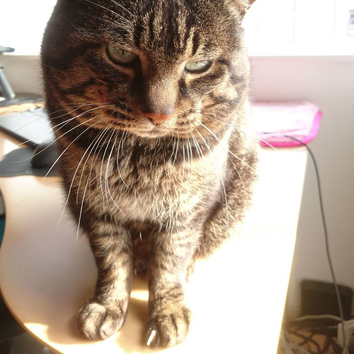 8cdc17b3 6341 44f4 b70f b09783841027 1523188178382