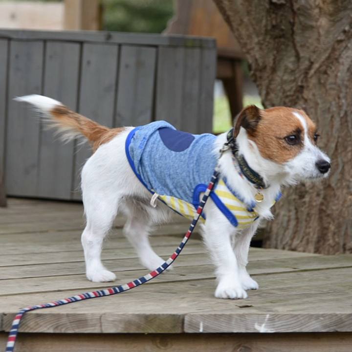 8cdc2137 1a33 4d3f 8ea1 7a783417a52b 1509103553472